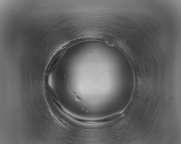 X0000057580580200509231254