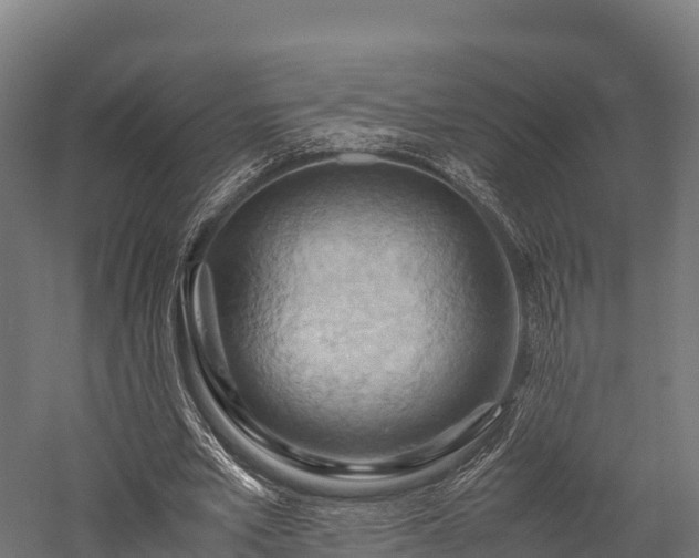 X0000057580581200509231254