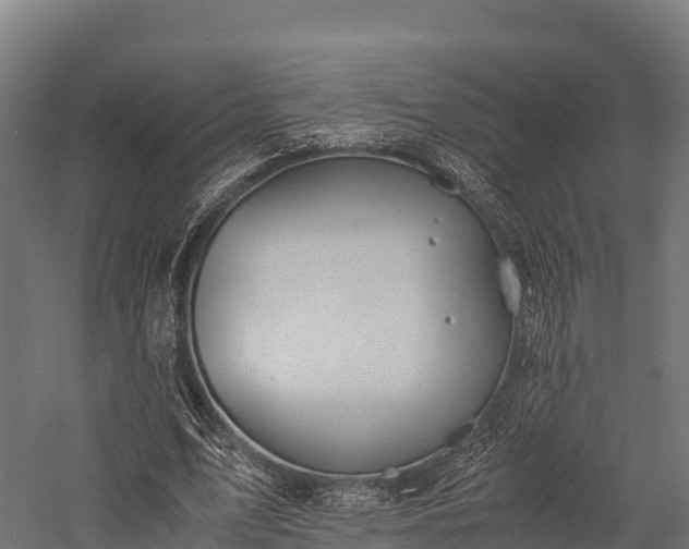 X0000057580583200509231254