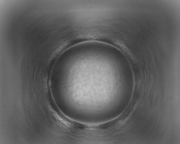 X0000057580585200509231254