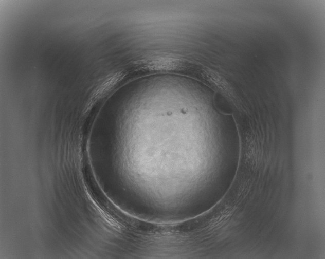 X0000057580586200509231254