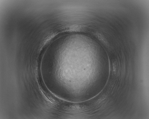 X0000057580588200509231254