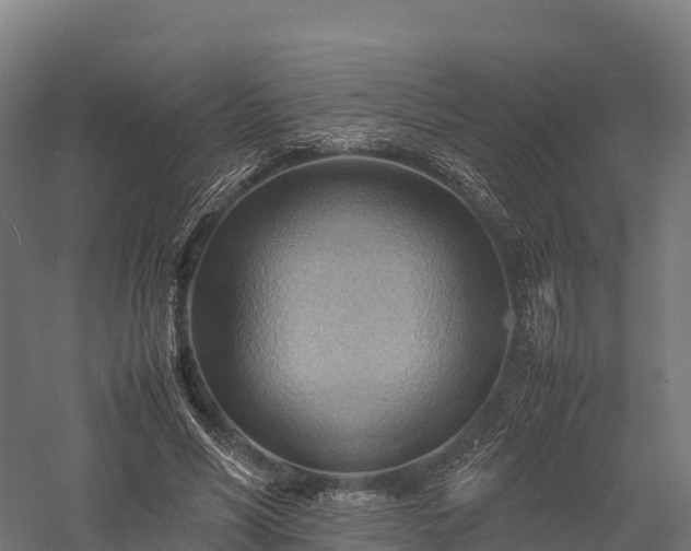 X0000057580590200509231254