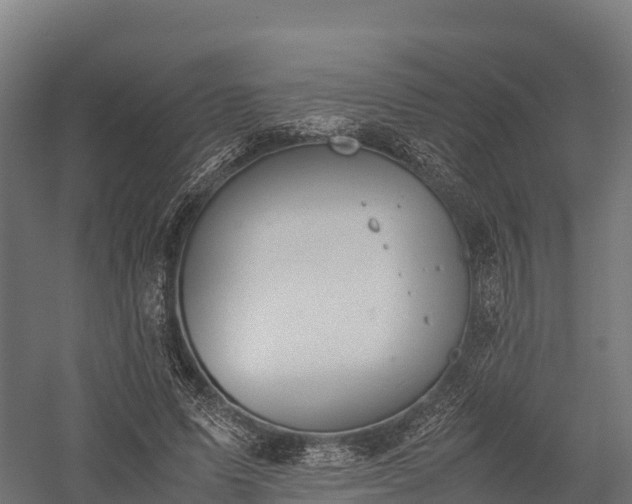 X0000057580591200509231254