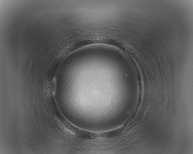 X0000057580593200509231254