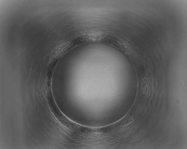 X0000057580594200509231254