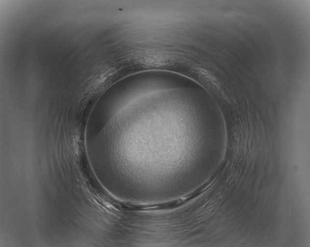 X0000057580596200509231254