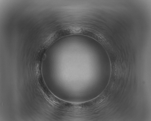 X0000057580598200509231254