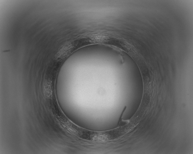 X0000057580599200509231254