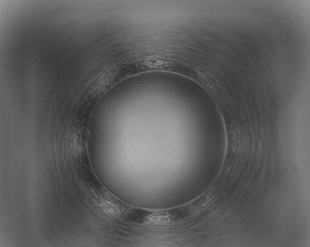 X0000057580606200509231253