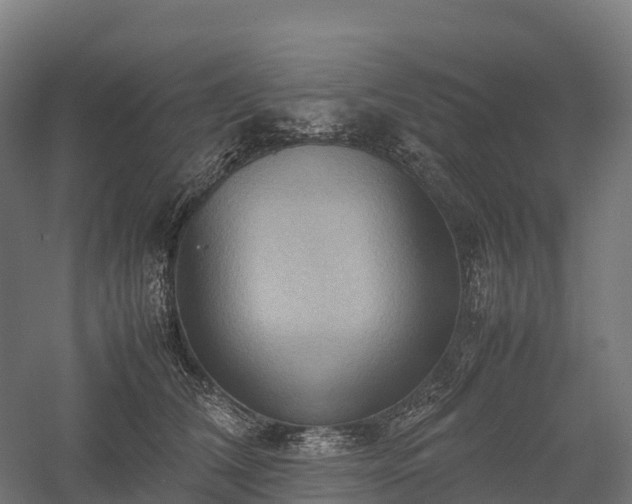 X0000057580612200509231253