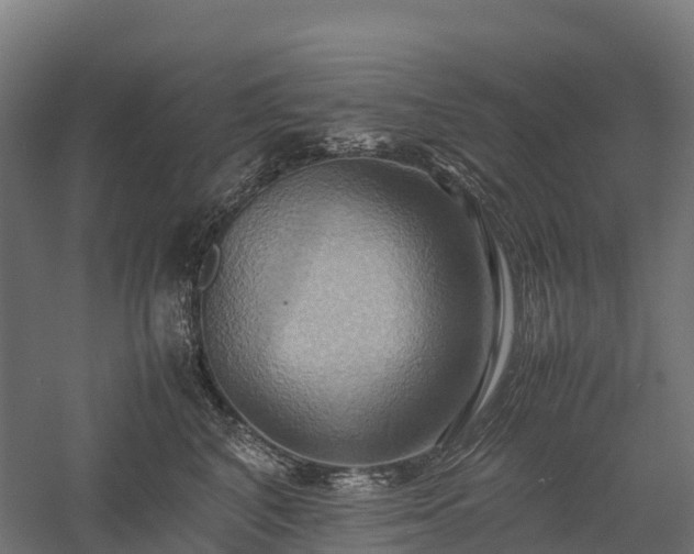 X0000057580616200509231253