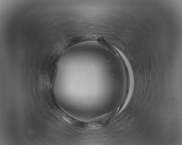 X0000057580617200509231253