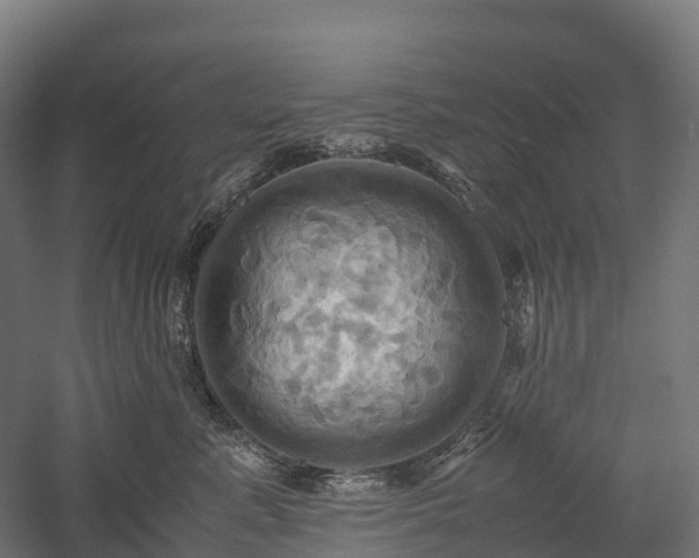 X0000057580619200509231253