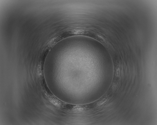 X0000057580620200509231253