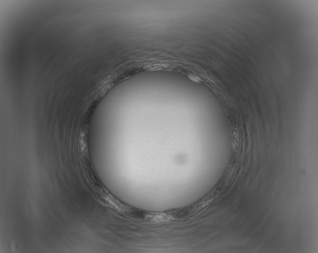 X0000057580621200509231253