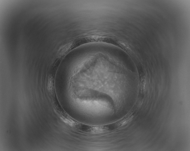 X0000057580623200509231253