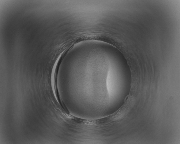 X0000057580624200509231253