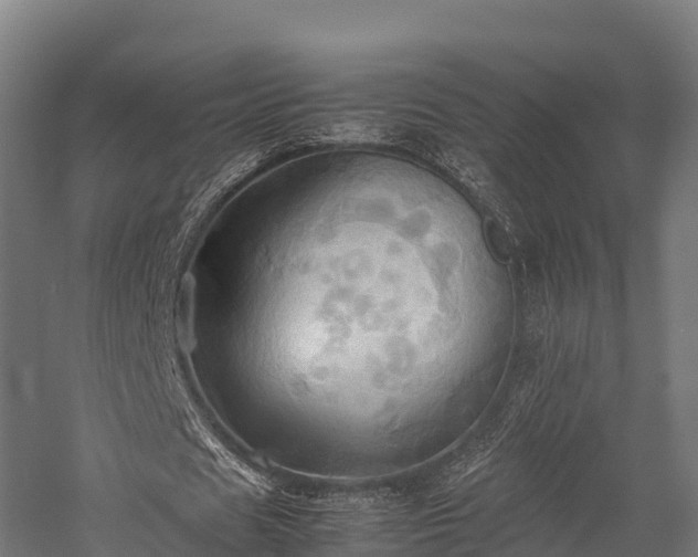 X0000057580625200509231252