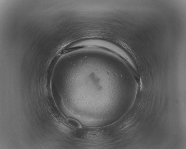 X0000057580627200509231252