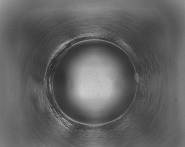 X0000057580628200509231252