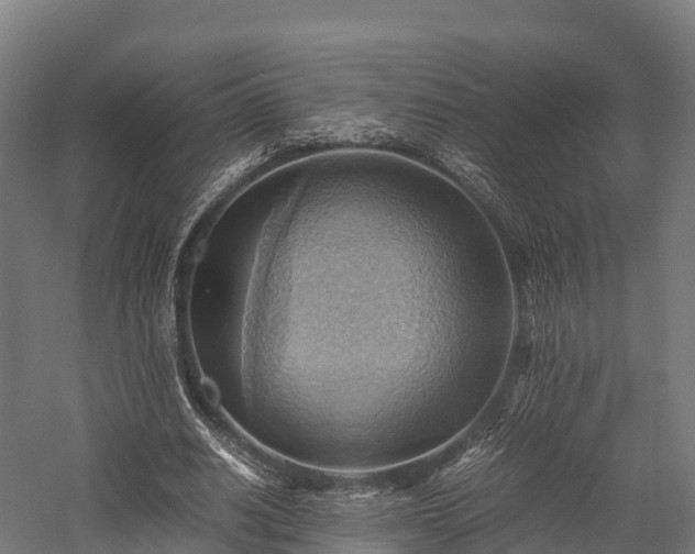 X0000057580630200509231252