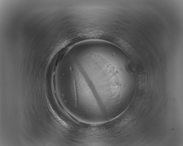 X0000057580634200509231252