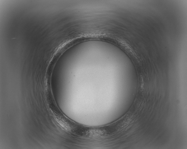 X0000057580636200509231252