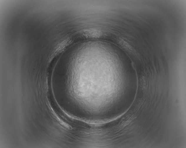 X0000057580638200509231253