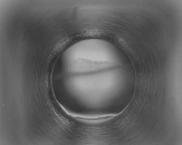 X0000057580640200509231253