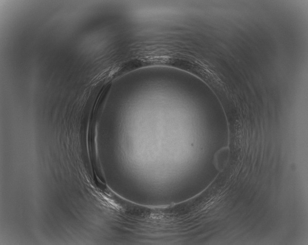 X0000057580641200509231253