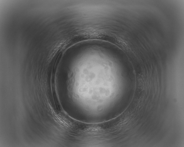 X0000057580642200509231253