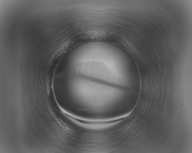 X0000057580644200509231253