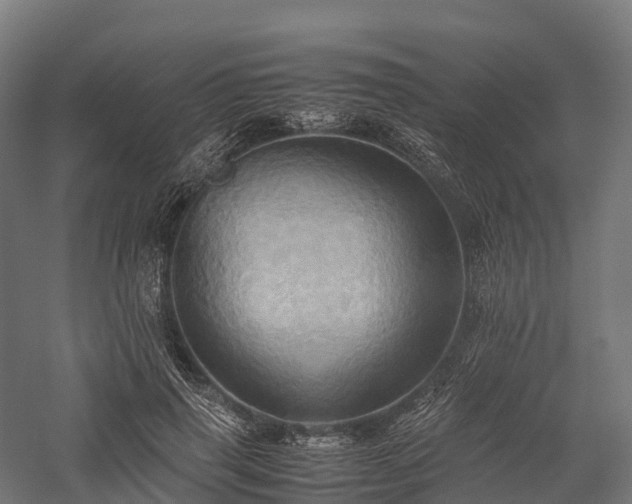 X0000057580645200509231253