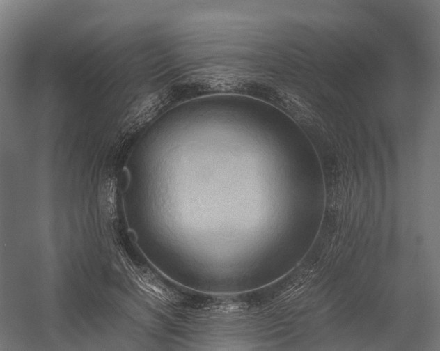 X0000057580646200509231253