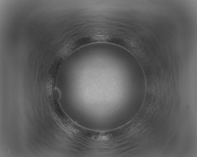 X0000057580647200509231253