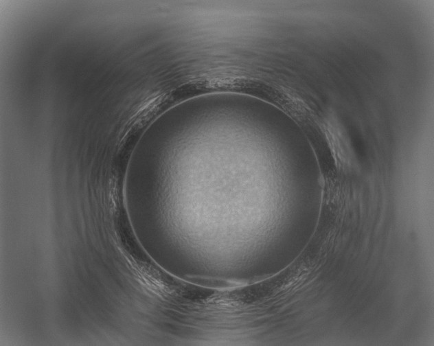 X0000057580648200509231253