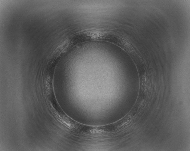 X0000057580650200509231253