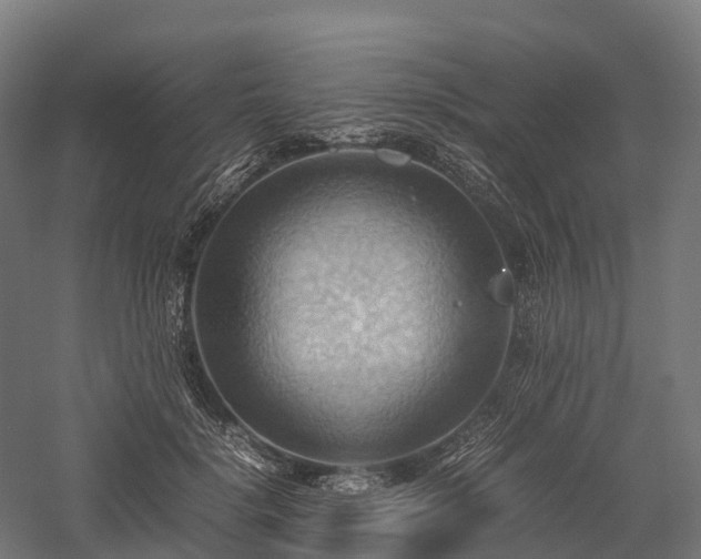 X0000057580652200509231253