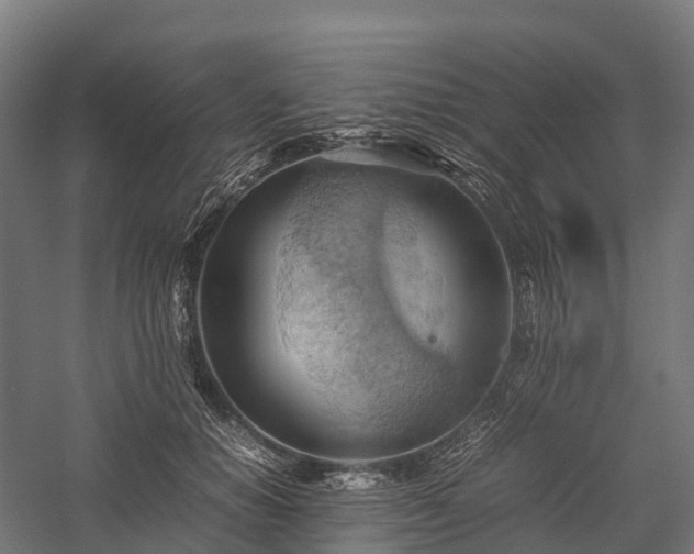 X0000057580654200509231253