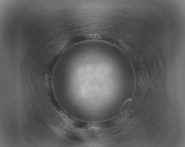 X0000057580658200509231253