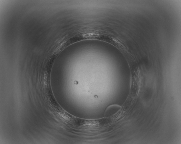 X0000057580659200509231253