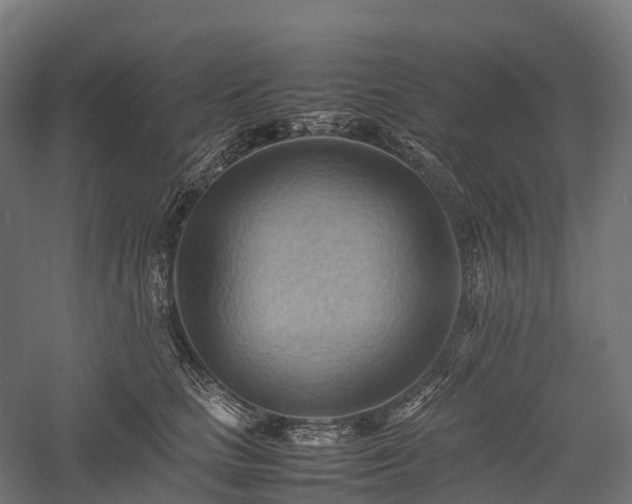 X0000057580661200509231253