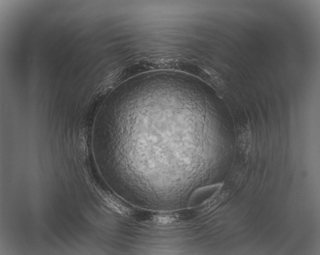 X0000057580662200509231253