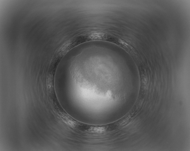 X0000057580665200509231253