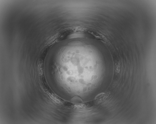 X0000057580666200509231253