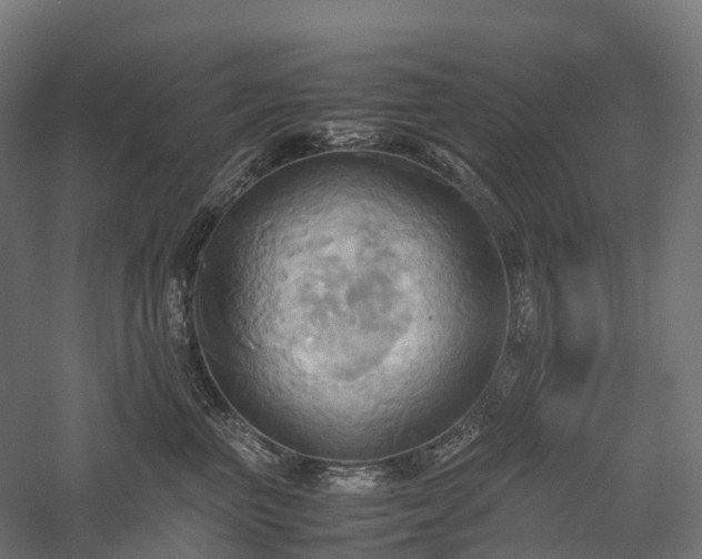 X0000057580667200509231253