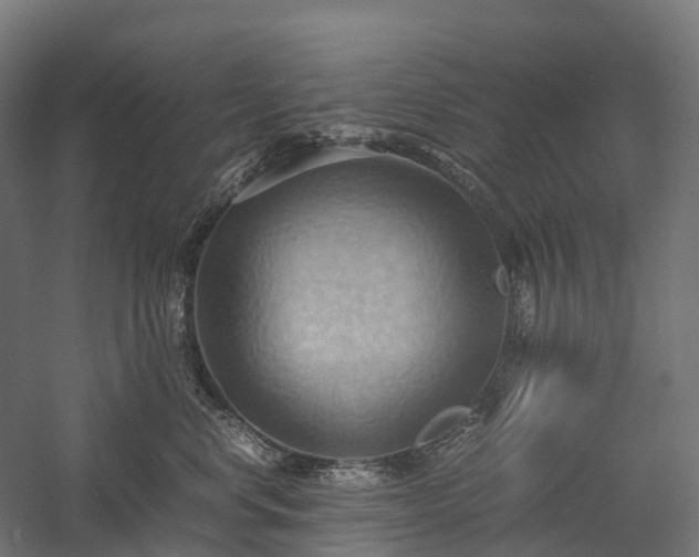 X0000057580668200509231253