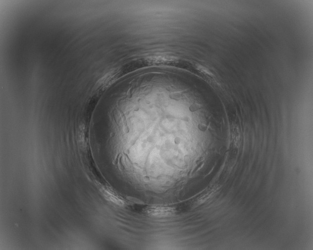 X0000057580670200509231253