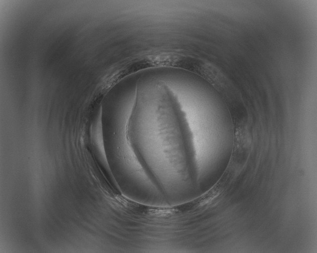 X0000057580671200509231253